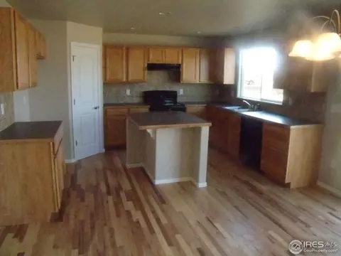 2065 Grain Bin Dr, Windsor, CO 80550 photo 6