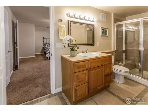 8117 Islander Ct, Windsor, CO 80528 photo 29