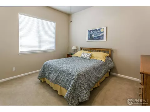 8117 Islander Ct, Windsor, CO 80528 photo 25
