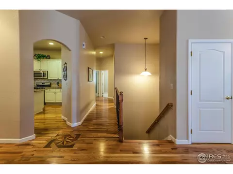 8117 Islander Ct, Windsor, CO 80528 photo 5