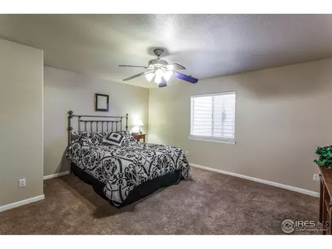 8117 Islander Ct, Windsor, CO 80528 photo 28