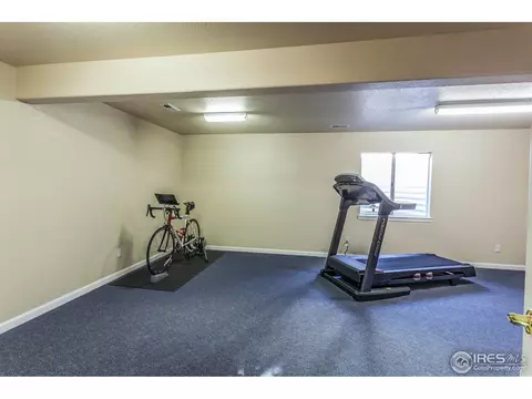 8117 Islander Ct, Windsor, CO 80528 photo 36