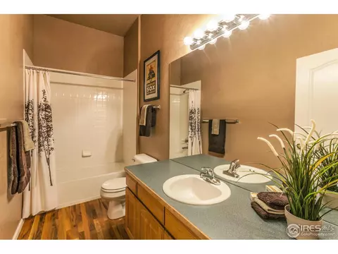 8117 Islander Ct, Windsor, CO 80528 photo 24