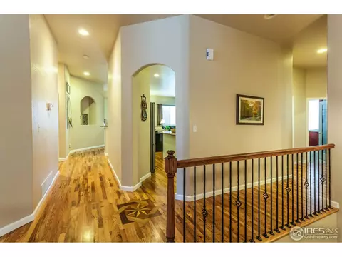 8117 Islander Ct, Windsor, CO 80528 photo 6