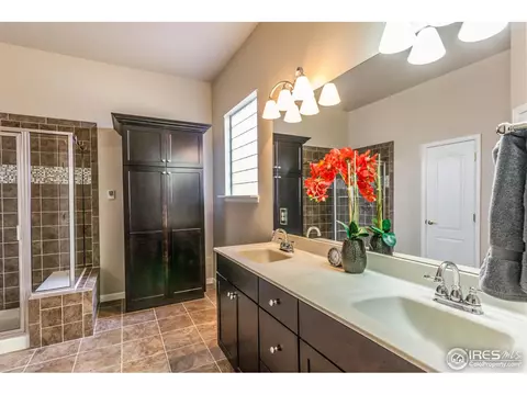 8117 Islander Ct, Windsor, CO 80528 photo 21