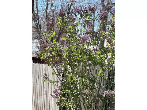 612 E 3rd St, Florence, CO 81226 photo 11