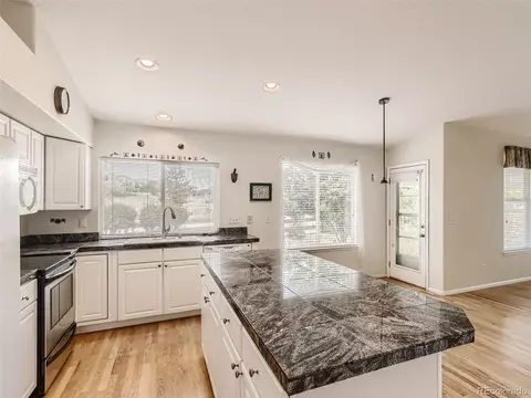 7198 Leopard Gate, Lone Tree, CO 80124 photo 4