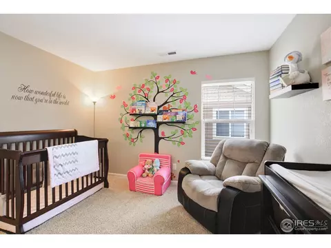 16657 E 101st Ave, Commerce City, CO 80022 photo 21