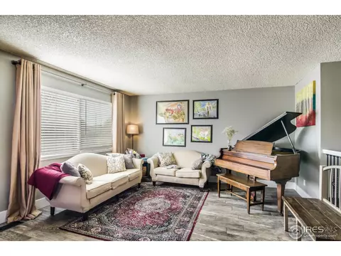 313 6th St, Frederick, CO 80530 photo 11