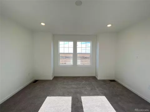 13122 E 99th Pl, Commerce City, CO 80022 photo 15