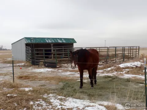 9 E Ranch Rd, Wiggins, CO 80654 photo 23