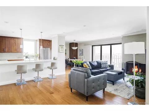 460 S Marion Pkwy #1701, Denver, CO 80209