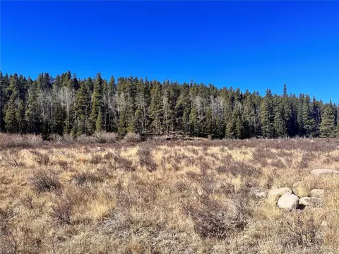 610 Lakeside Dr, Fairplay, CO 80440