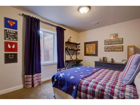 5764 Shepherd St, Timnath, CO 80547 photo 23