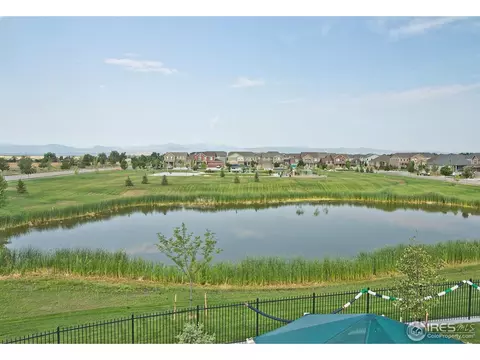 5764 Shepherd St, Timnath, CO 80547 photo 39