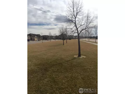 5764 Shepherd St, Timnath, CO 80547 photo 4