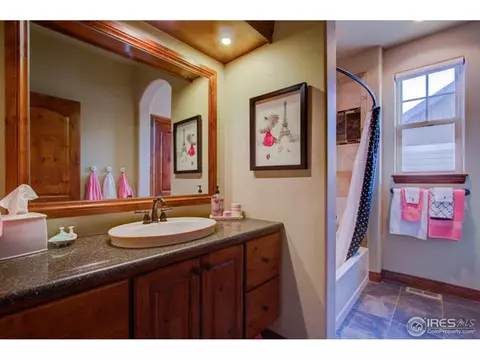 5764 Shepherd St, Timnath, CO 80547 photo 18