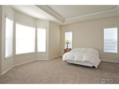 7756 E 149th Pl, Thornton, CO 80602 photo 17
