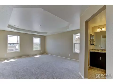 2130 Longfin Ct, Windsor, CO 80550 photo 20