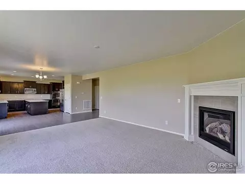 2130 Longfin Ct, Windsor, CO 80550 photo 7