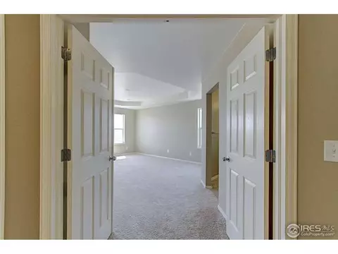 2130 Longfin Ct, Windsor, CO 80550 photo 19