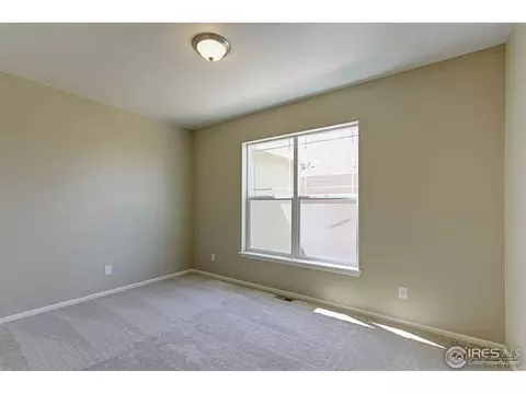 2130 Longfin Ct, Windsor, CO 80550 photo 15