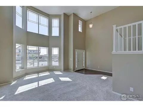 2130 Longfin Ct, Windsor, CO 80550 photo 4