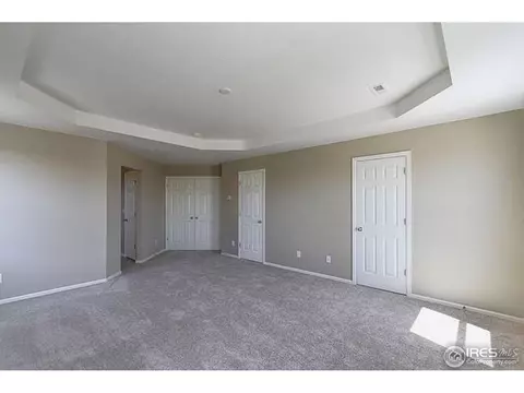 2130 Longfin Ct, Windsor, CO 80550 photo 21