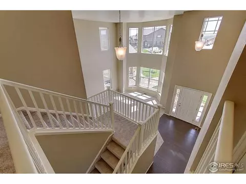 2130 Longfin Ct, Windsor, CO 80550 photo 17