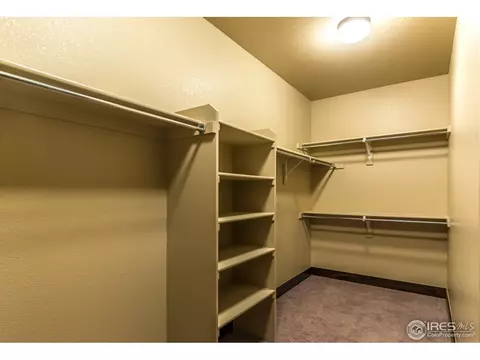 685 Sundance Dr, Windsor, CO 80550 photo 22