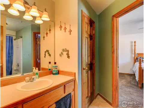 8193 E 157th Ct, Thornton, CO 80602 photo 27
