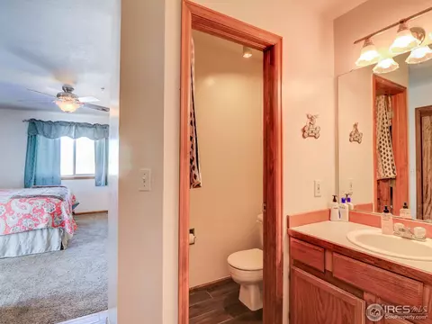 8193 E 157th Ct, Thornton, CO 80602 photo 23