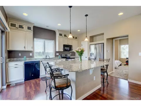 18681 E 50th Pl, Denver, CO 80249 photo 9