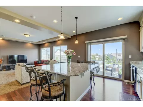 18681 E 50th Pl, Denver, CO 80249 photo 15