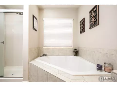 148 Bayside Cir, Windsor, CO 80550 photo 14