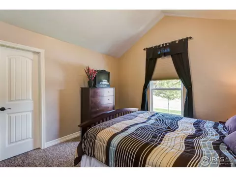 7403 Ladbroke Dr, Windsor, CO 80550 photo 22