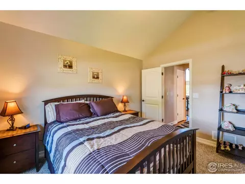 7403 Ladbroke Dr, Windsor, CO 80550 photo 23