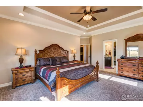 7403 Ladbroke Dr, Windsor, CO 80550 photo 34