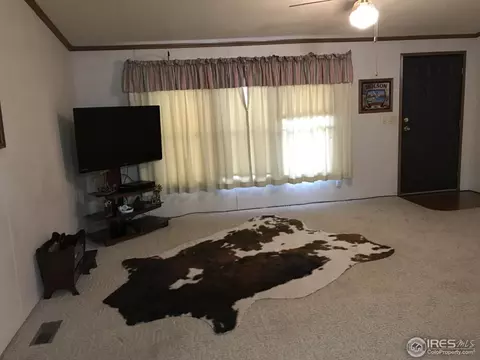 309 Dickson St, Wiggins, CO 80654 photo 3