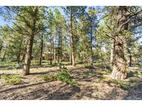 30540 Rand Rd, Conifer, CO 80433 photo 36