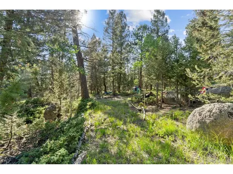 30540 Rand Rd, Conifer, CO 80433 photo 34