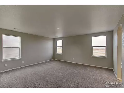 2160 Longfin Dr, Windsor, CO 80550 photo 20