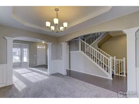 2160 Longfin Dr, Windsor, CO 80550 photo 5