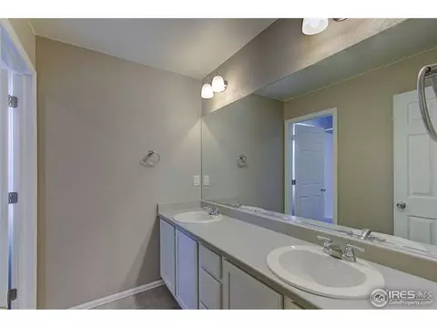 2160 Longfin Dr, Windsor, CO 80550 photo 29