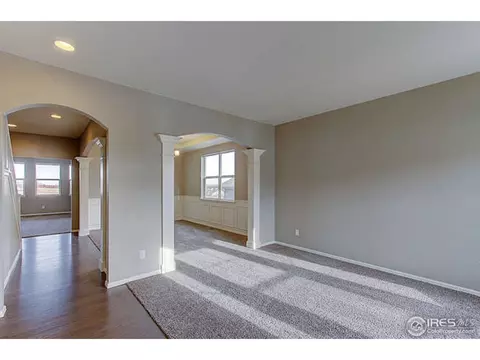 2160 Longfin Dr, Windsor, CO 80550 photo 4