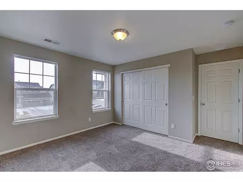 2160 Longfin Dr, Windsor, CO 80550 photo 28