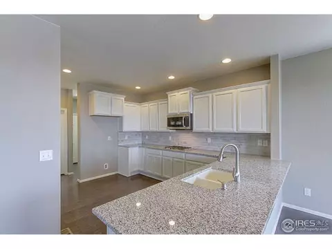 2160 Longfin Dr, Windsor, CO 80550 photo 1