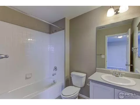 2160 Longfin Dr, Windsor, CO 80550 photo 26