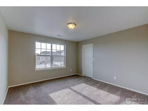 2160 Longfin Dr, Windsor, CO 80550 photo 27