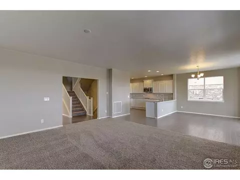 2160 Longfin Dr, Windsor, CO 80550 photo 9